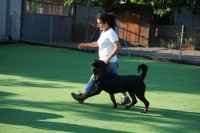 /album/trabajo-deportivo/curso-accam-17-06-10-081-jpg/